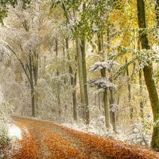 Paisagens  de inverno.