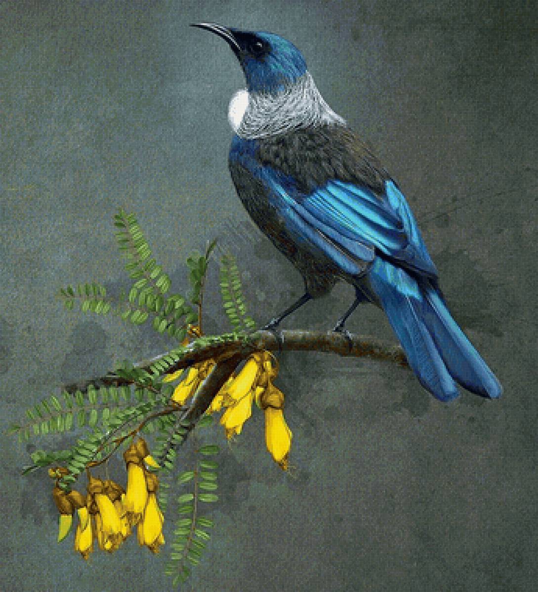 Pássaros. - pássaros. flores. - предпросмотр