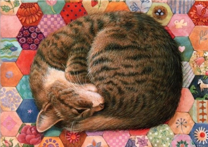 Gato. - animais. - оригинал