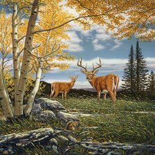 Схема вышивки «№2412949»