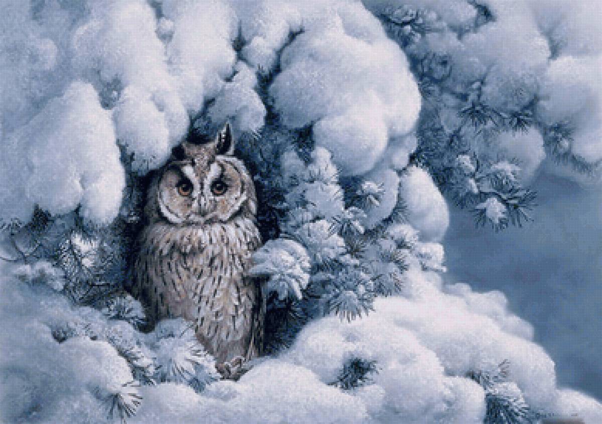 №2412950 - сова - предпросмотр