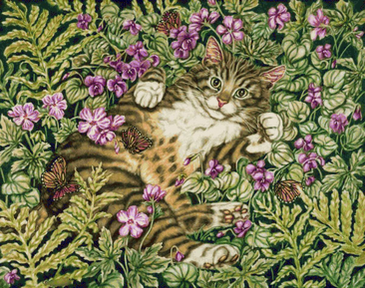 №2412960 - кот - предпросмотр