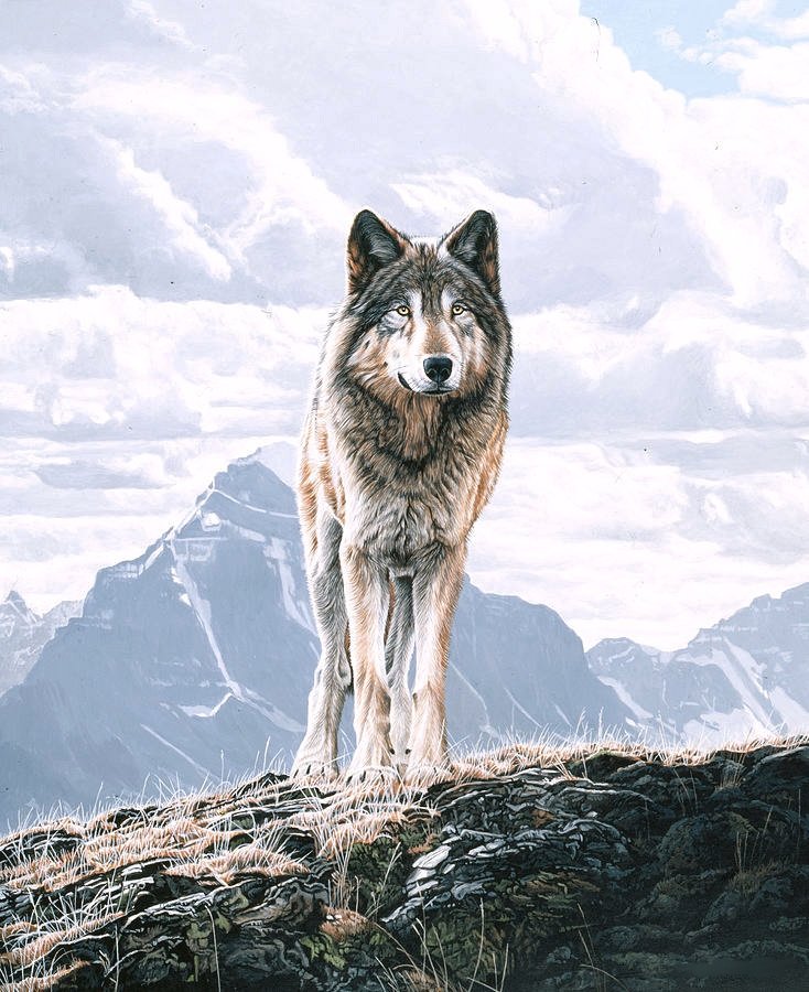 №2412964 - оригинал