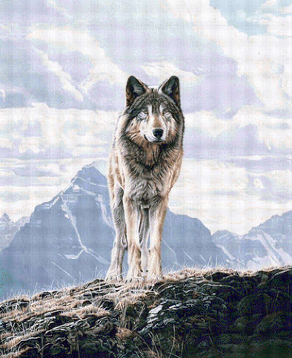 №2412964 - предпросмотр