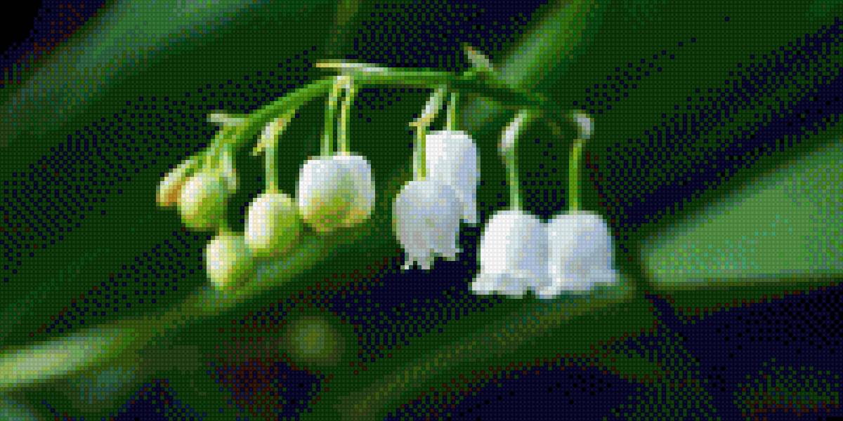 Ландыши - цветы трава - предпросмотр