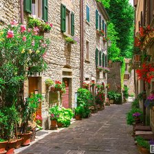 Зеленая улочка