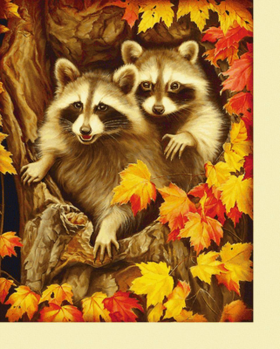 Серия "Еноты" - еноты, животные - предпросмотр