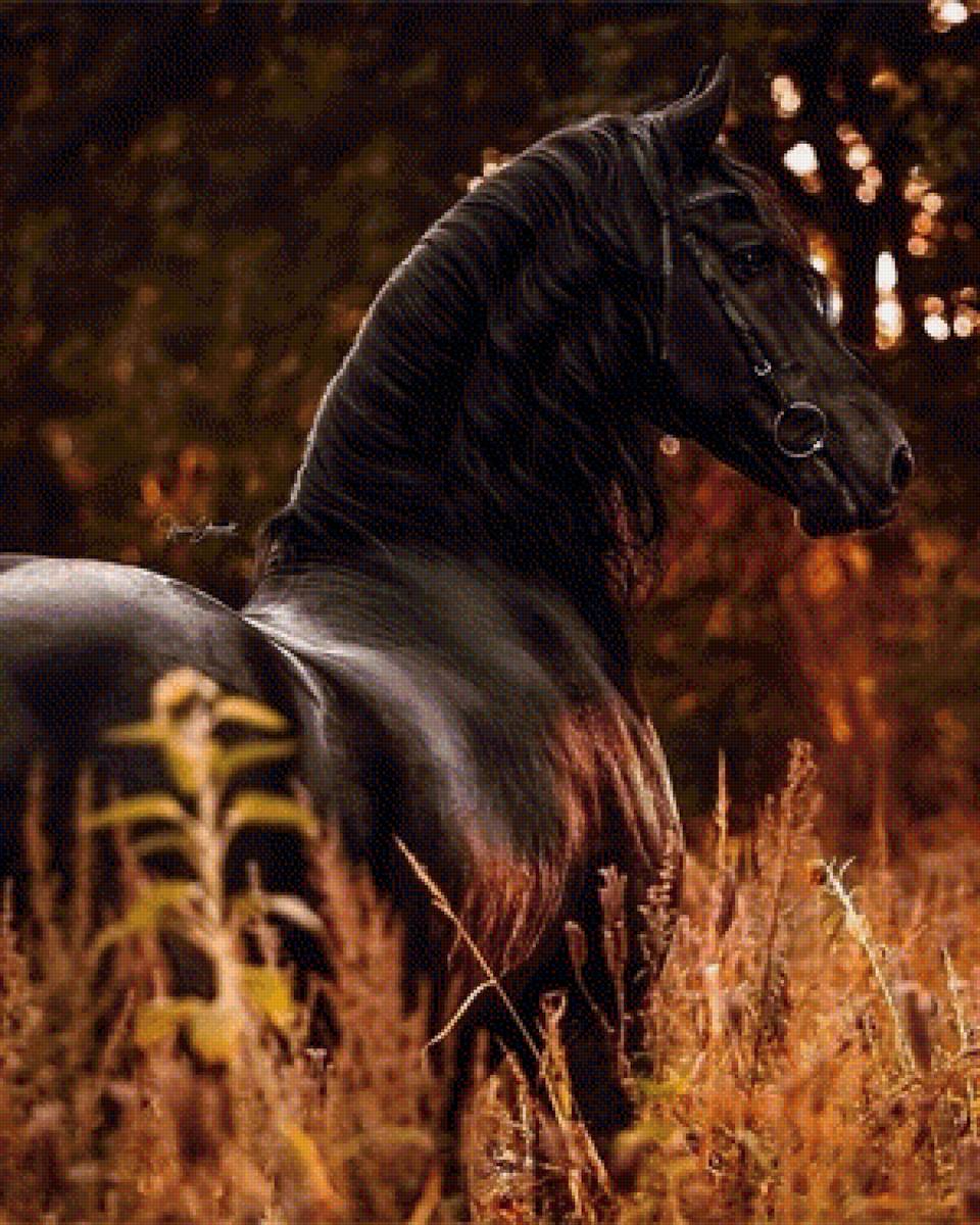 Конь - предпросмотр