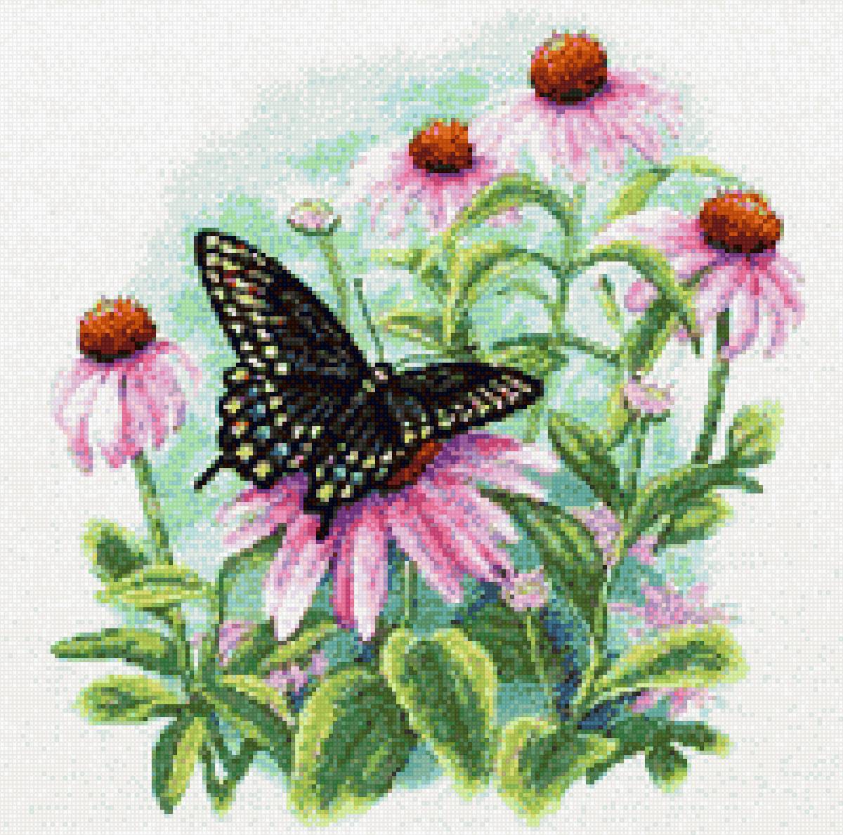 Бабочка - бабочка - предпросмотр