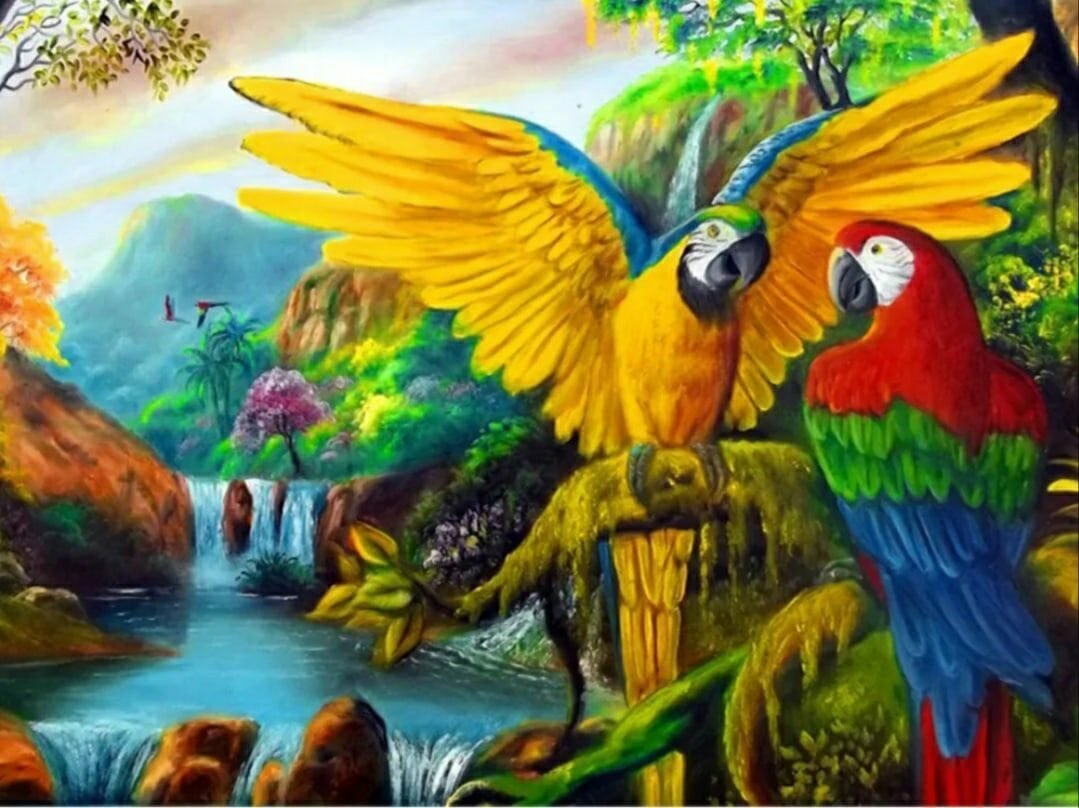 Попугаи - природа, попугаи, птицы, красивые - оригинал