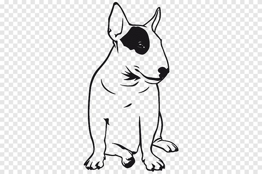 bull sil - bull terrier - оригинал
