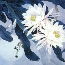 Схема вышивки «Hoa Quỳnh»