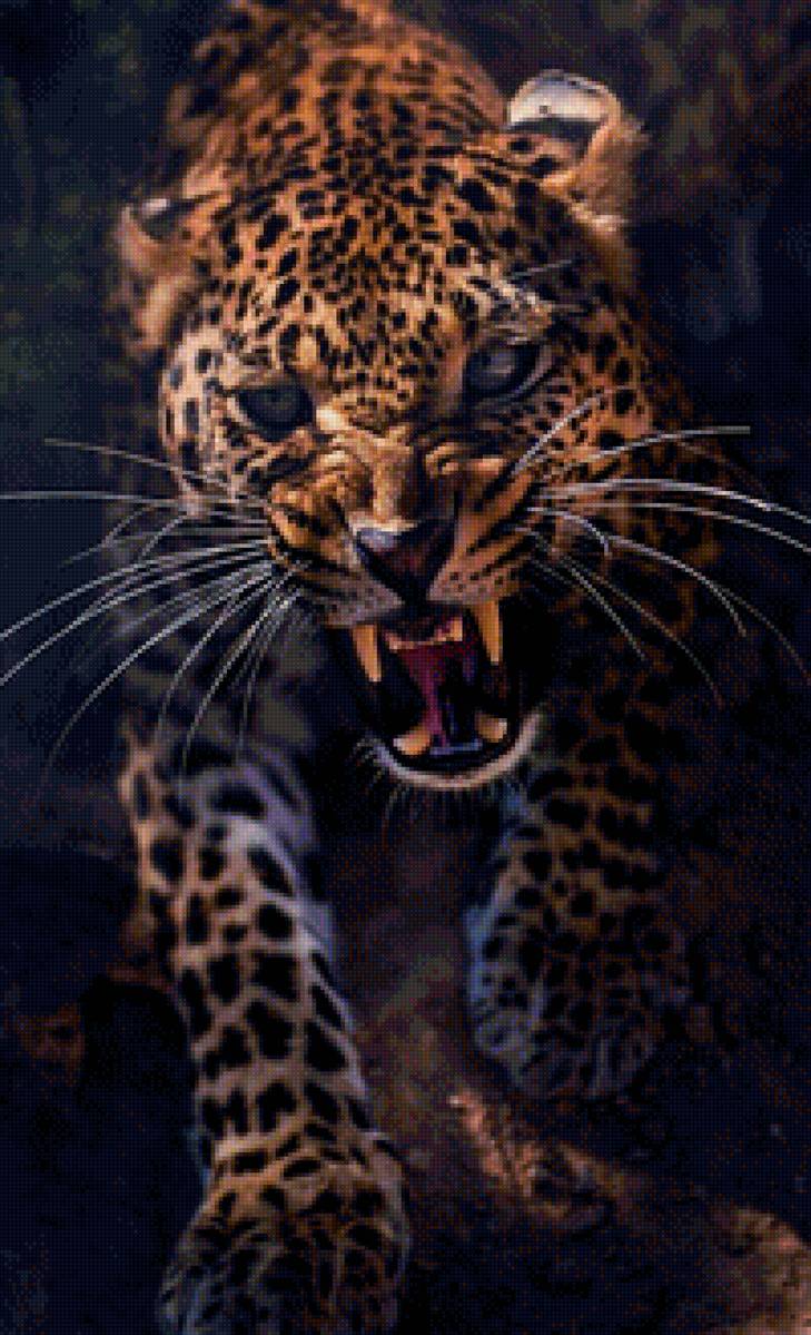 Ягуар - предпросмотр