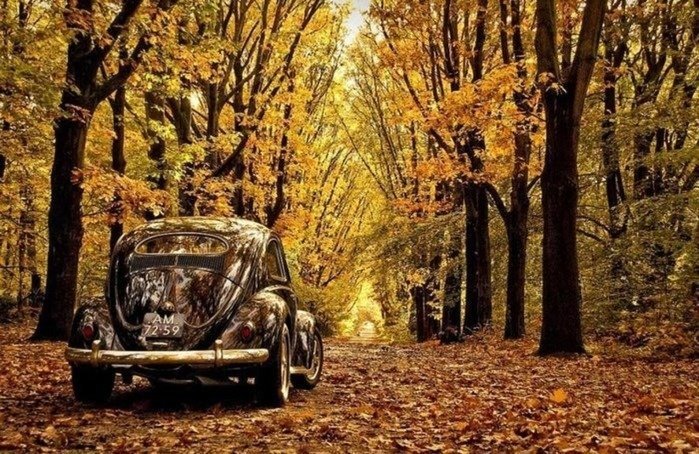 Пейзаж - лес, авто, ретро., пейзаж, осень - оригинал
