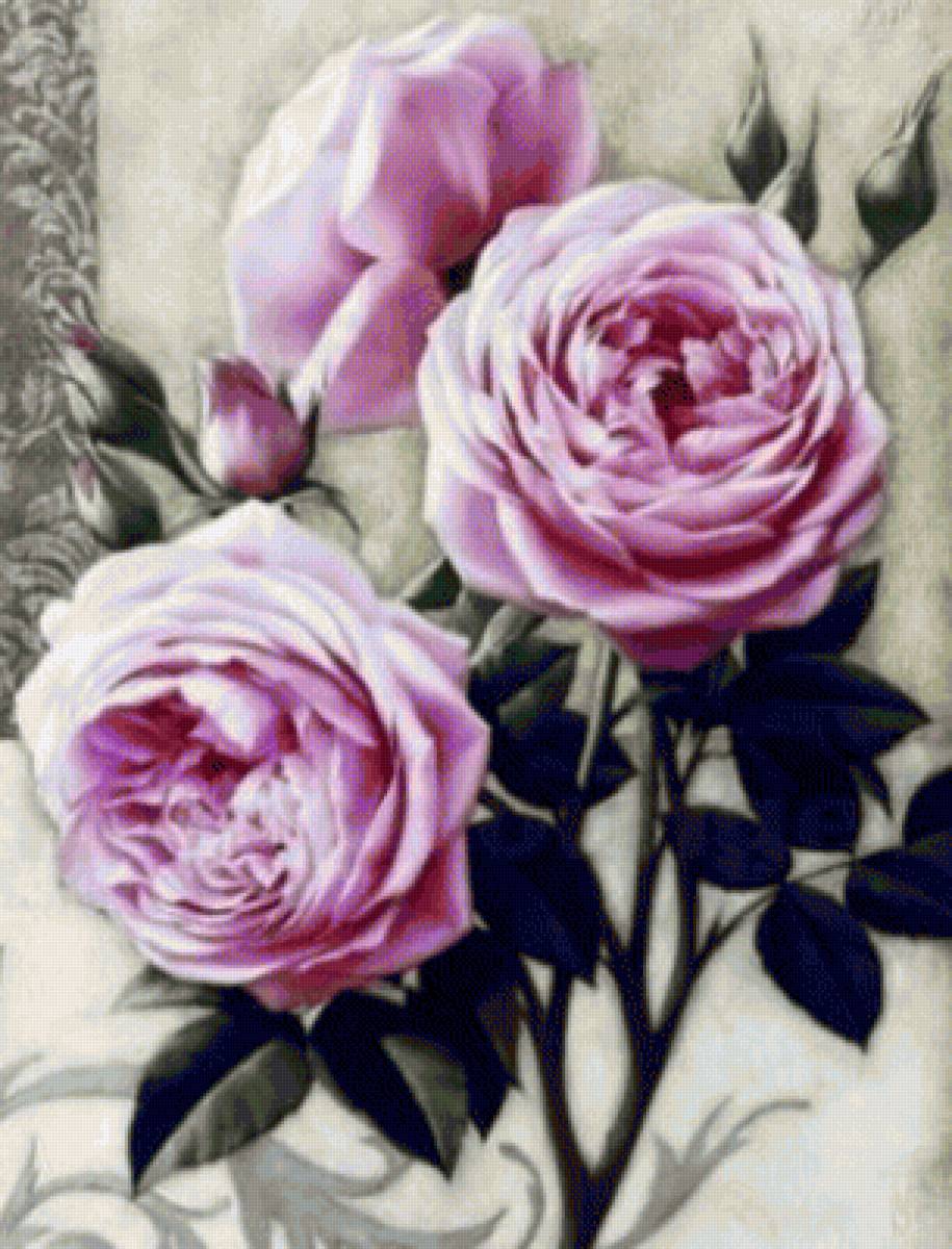 Розы - розы - предпросмотр