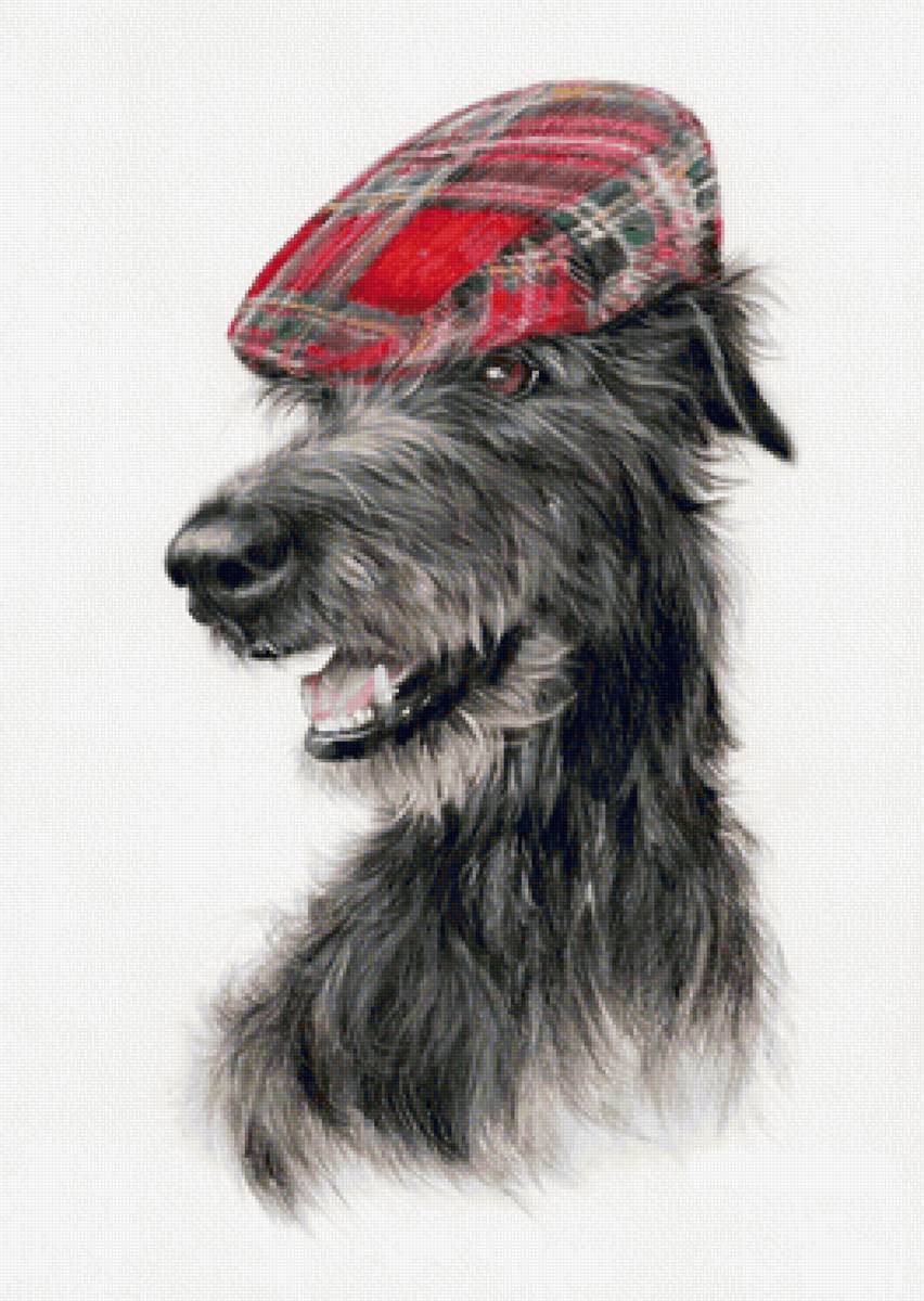 №2416176 - пес - предпросмотр