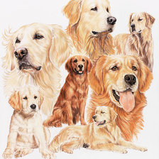 Схема вышивки «№2416185»