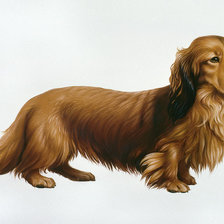 Схема вышивки «№2416187»