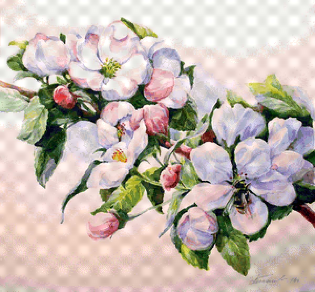 Яблоневый цвет - сергей бессонов, май - предпросмотр