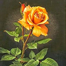 Схема вышивки «Оранжевая роза»