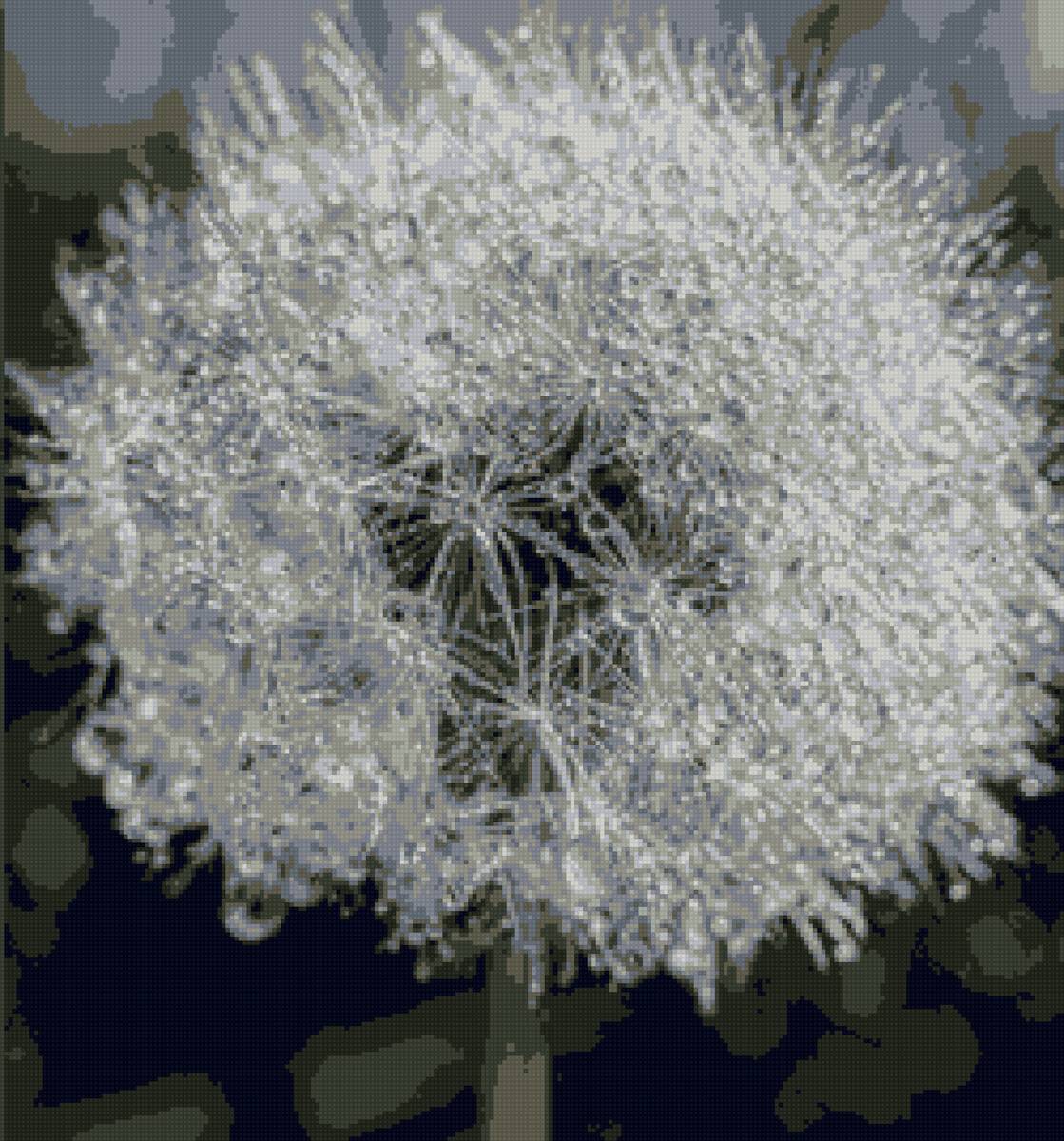 Одуванчик - одувансик, цветок - предпросмотр