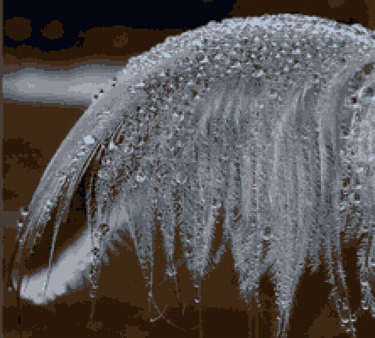 Гусинре перо - перо, гусь - предпросмотр