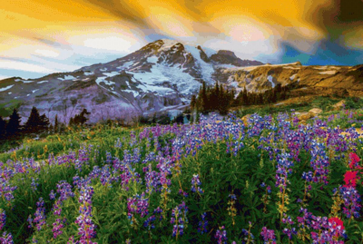 Гора Рейнир - гора, пейзаж, рейнир - предпросмотр