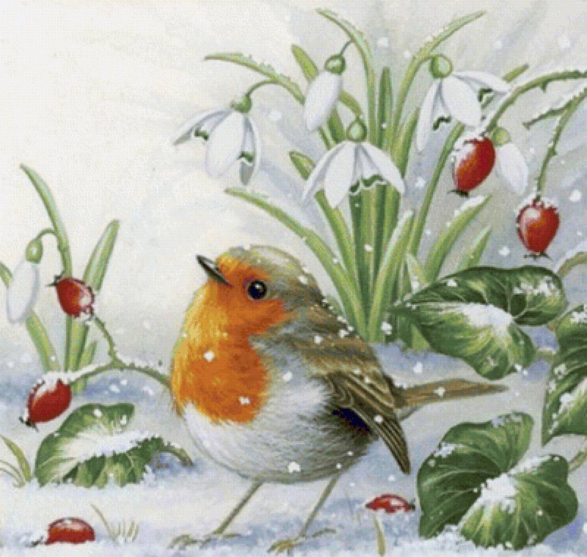 Птица 🐦 - птица - предпросмотр