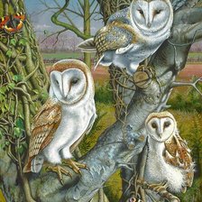 Схема вышивки «№2418734»