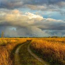 Схема вышивки «№2419003»