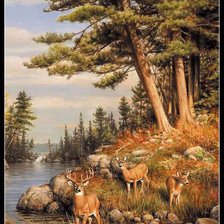 Схема вышивки «№2419006»