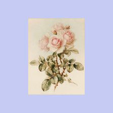Оригинал схемы вышивки «Мини роза» (№2419343)