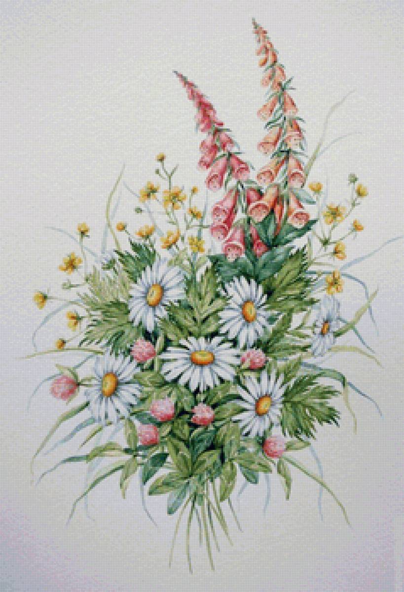 цветы - полевые цветы - предпросмотр