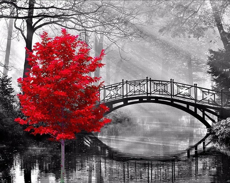 Туманная осень - мост, дерево, туман, монохром - оригинал