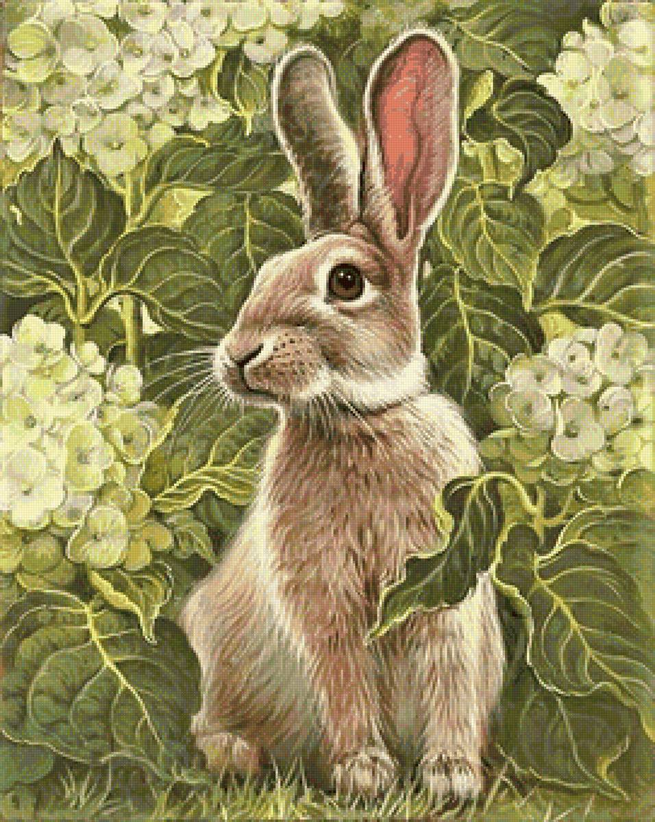 Зайка - предпросмотр