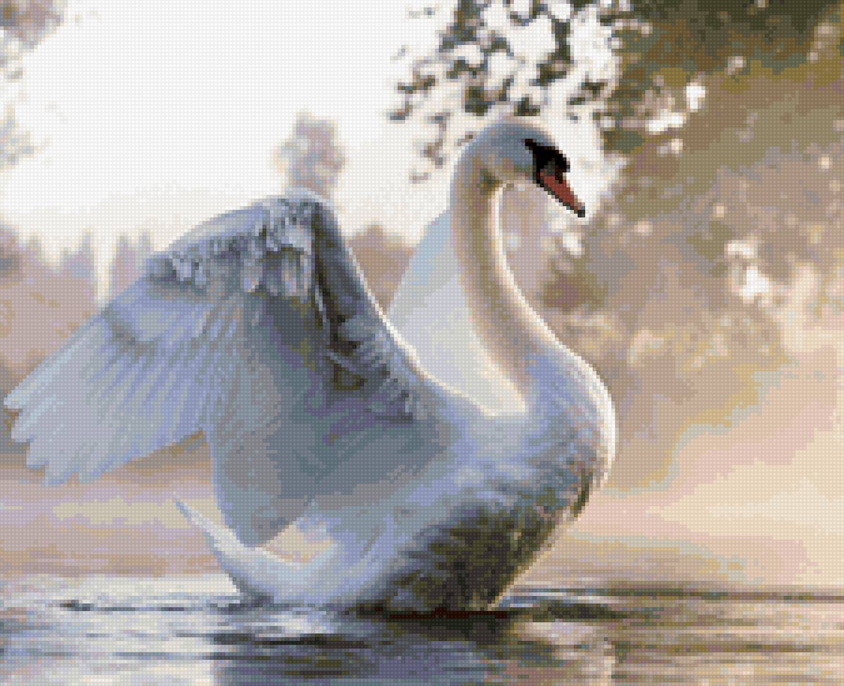белый лебедь - лебедь - предпросмотр