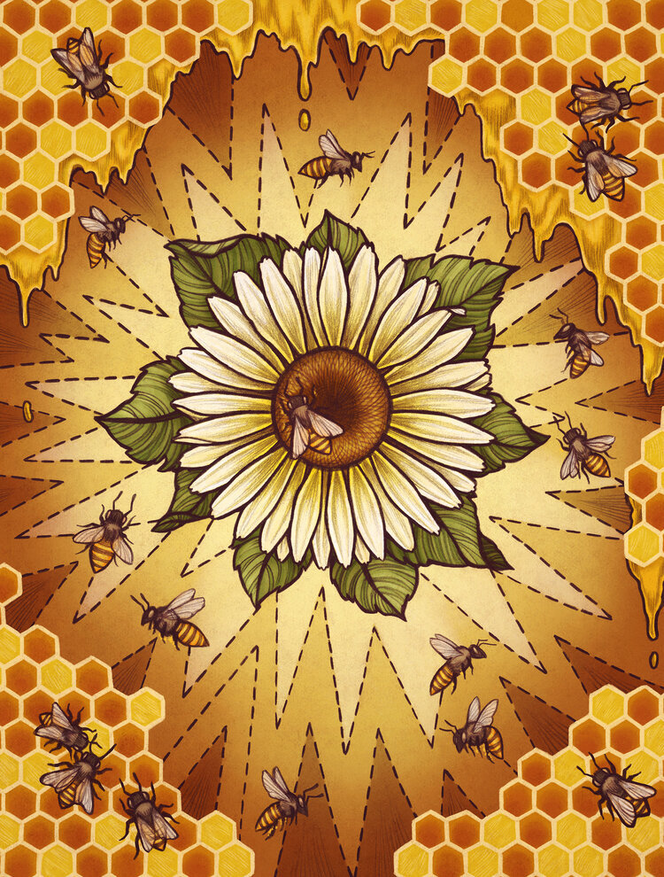 №2420249 - соты - оригинал