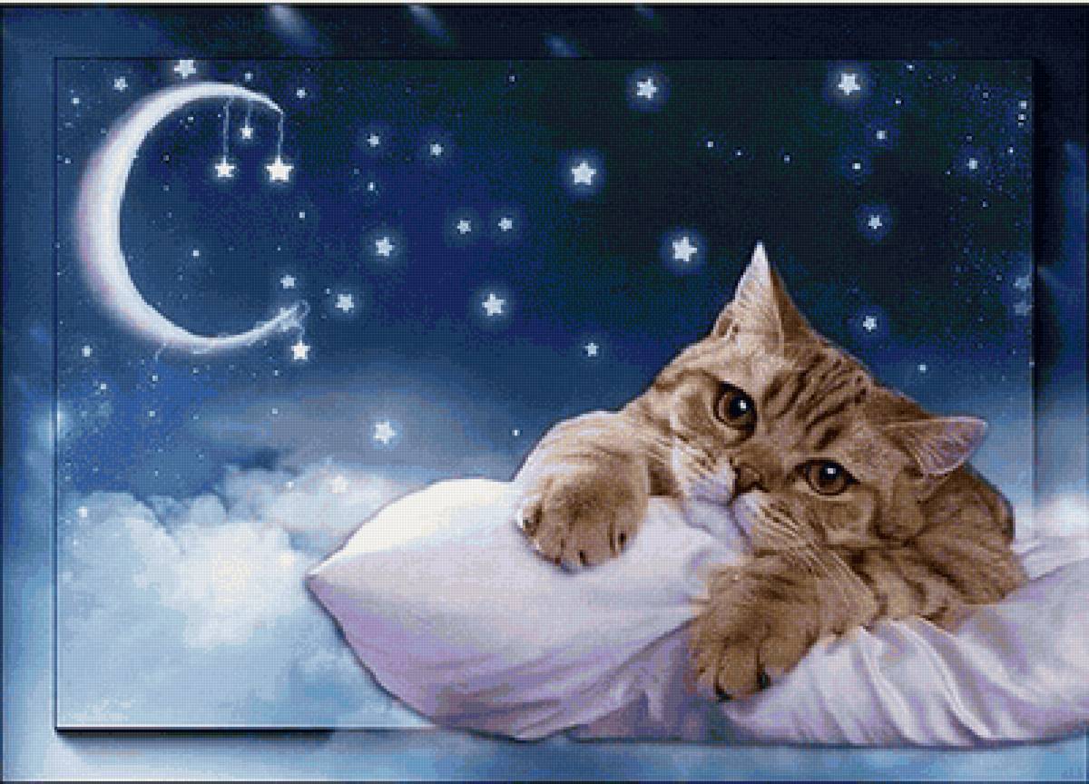 Гифки котиков спокойной ночи. Доброй ночи приятных сновидений. Сказочный сон. Доброй ночи сладких снов. Доброй ночи с котятами.