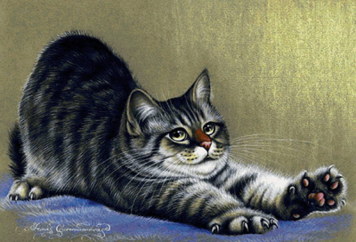 Кот-любимчик хозяев - кот - предпросмотр