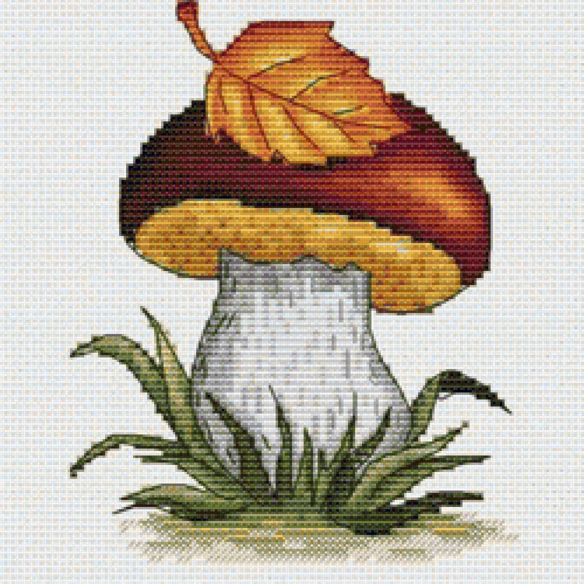 Nấm - предпросмотр