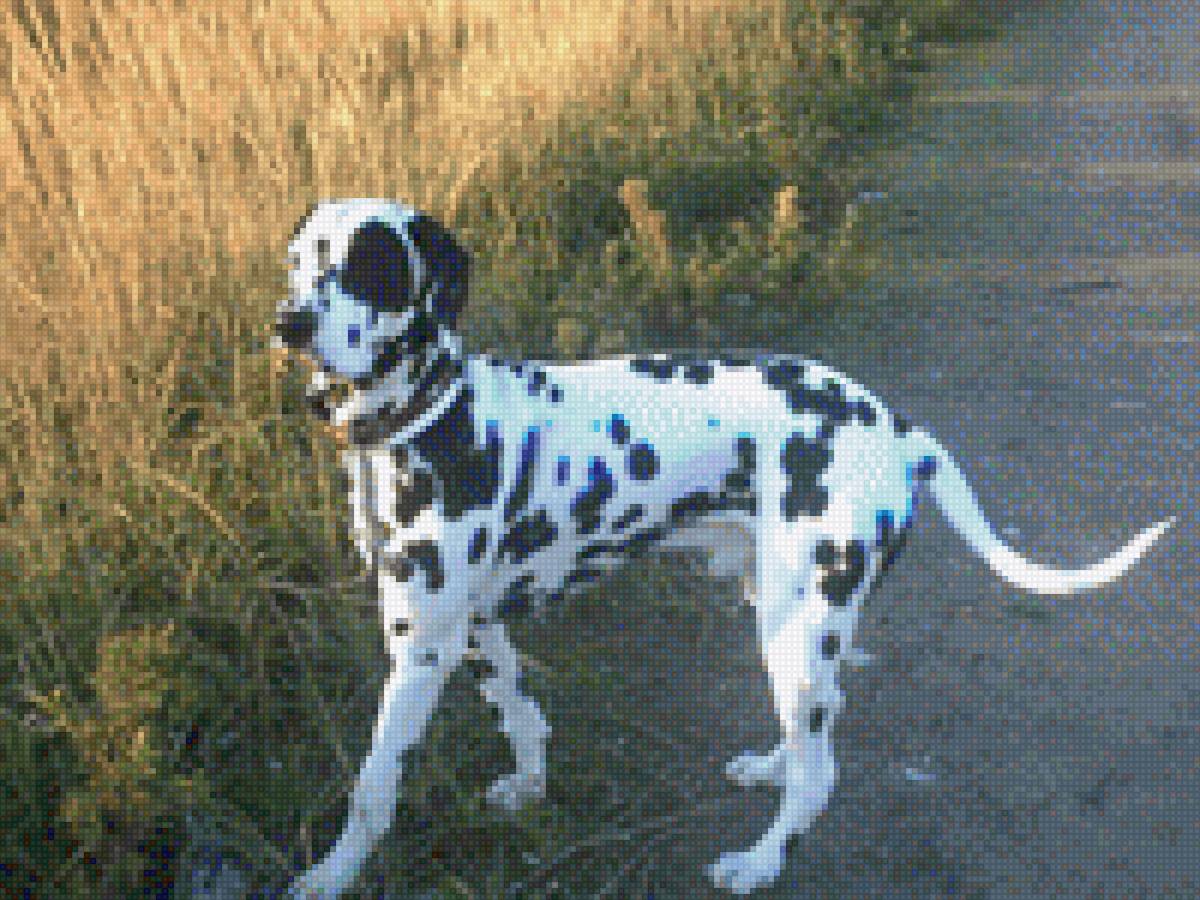 Денечка - предпросмотр