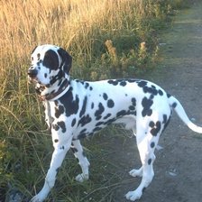 Схема вышивки «Денечка»