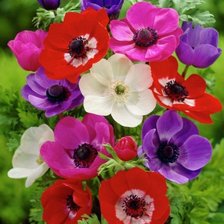 Схема вышивки «№2421174»