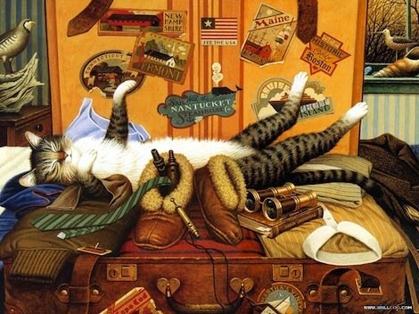 Наконец-то дома! - бинокль, вещи, чемодан, кот - оригинал