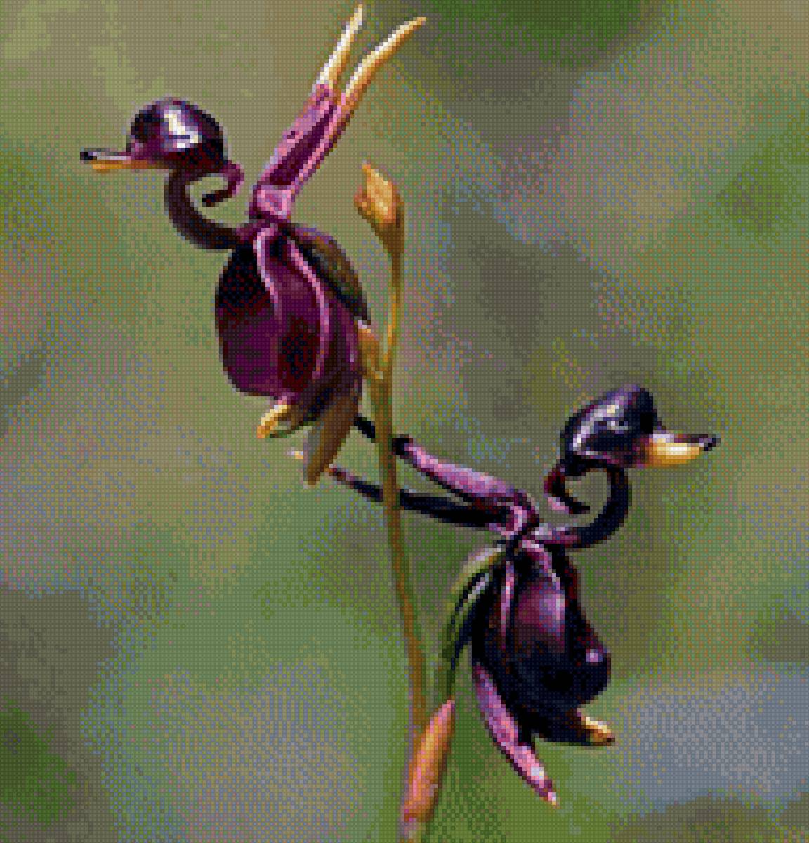 Xaribulbul - предпросмотр