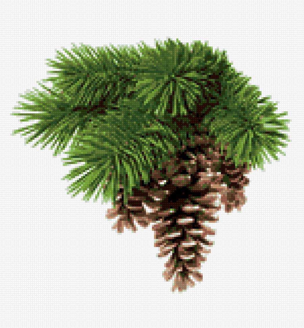 шишка_1 - шишка, зима, еловая ветка, шишки - предпросмотр