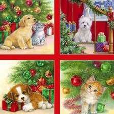 Схема вышивки «№2423021»