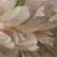 Предпросмотр схемы вышивки «№2423080»