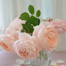 Схема вышивки «№2423088»