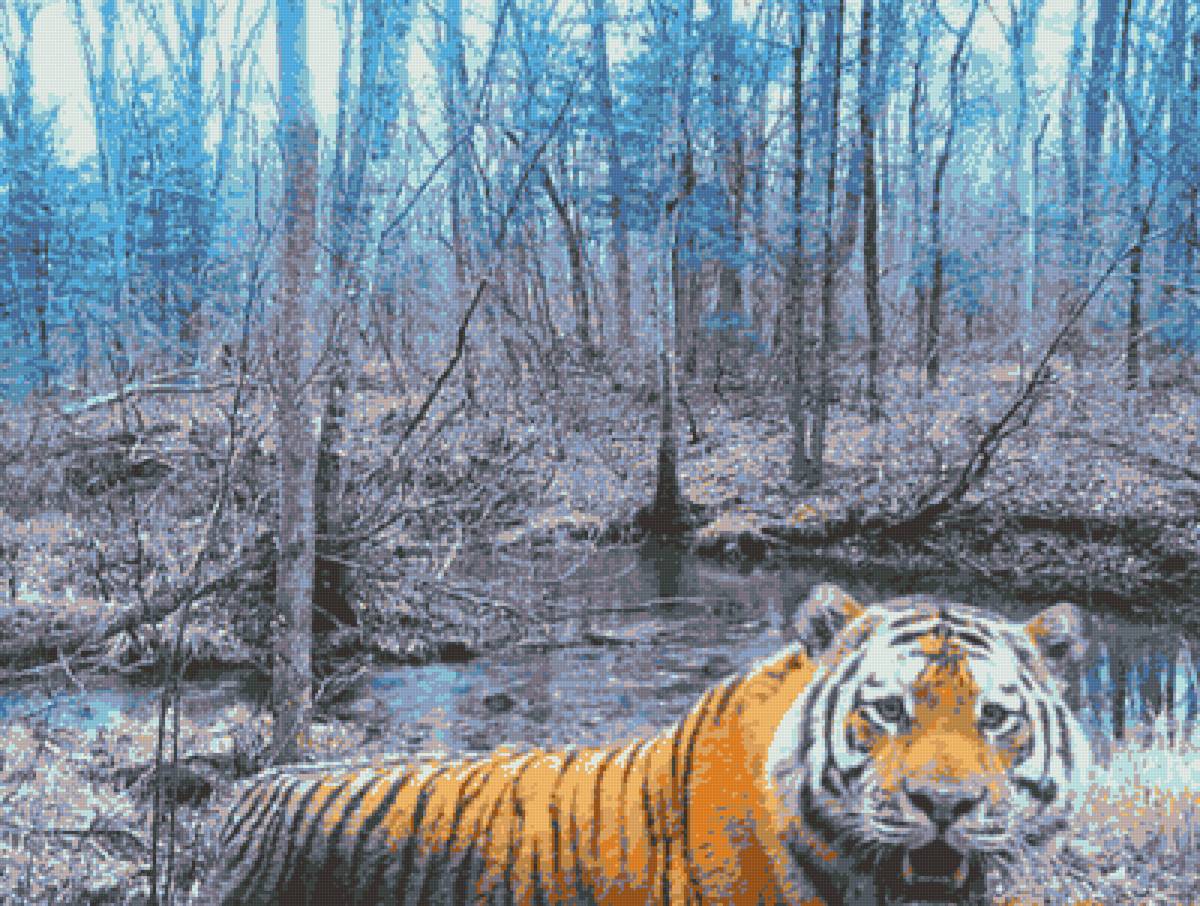 Тигр - амурский, тигр - предпросмотр